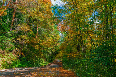 Similar image 21638610