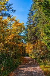 Similar image 21638734