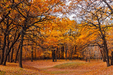 Similar image 21638735