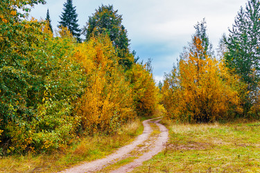 Similar image 21638742