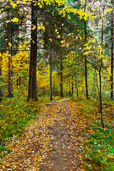 Similar image 21638746