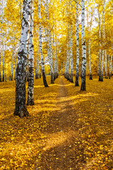 Similar image 21638747