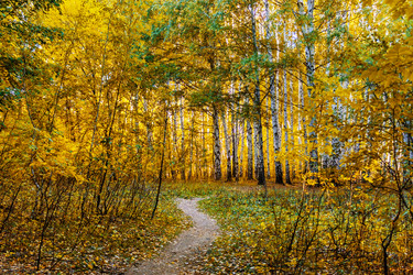 Similar image 21638754