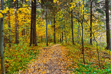 Similar image 21638755