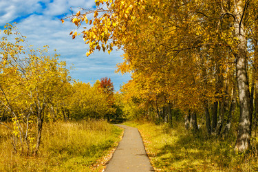 Similar image 21638757