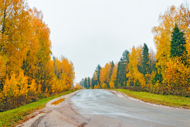 Similar image 21638758