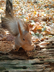 Similar image 21637541