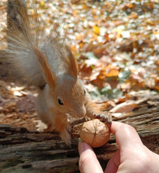 Similar image 21637542