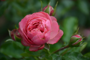 Similar image 21637760