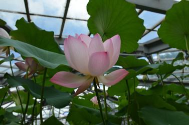 Similar image 21637765