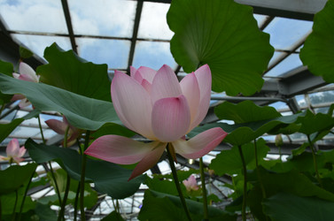 Similar image 21637766