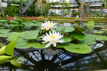 Similar image 21638613