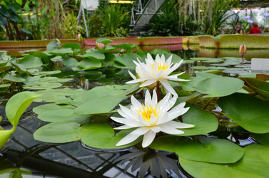 Similar image 21638614