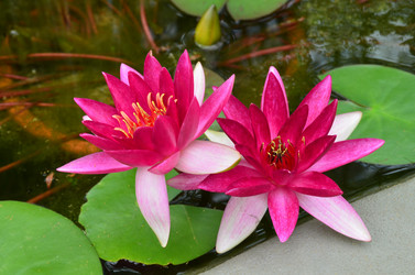 Similar image 21638615