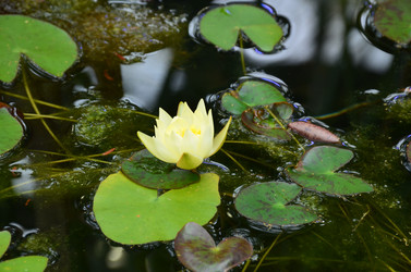 Similar image 21638616