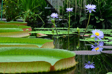 Similar image 21638617