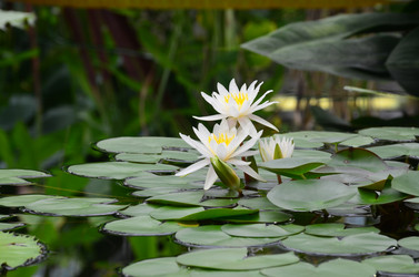 Similar image 21638619