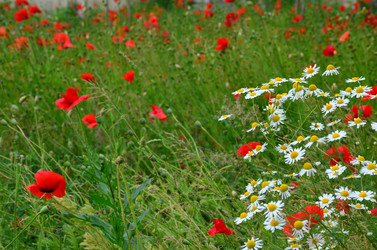 Similar image 21638621