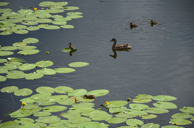 Similar image 21638622