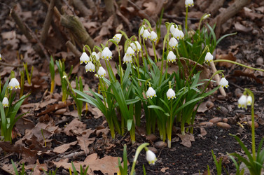 Similar image 21638627