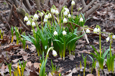 Similar image 21638628