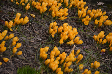 Similar image 21637767