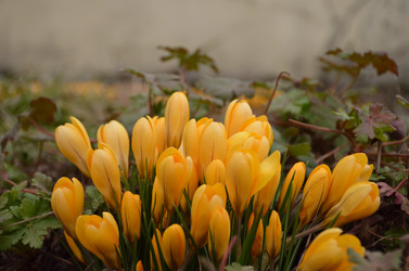 Similar image 21637769