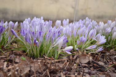 Similar image 21637770