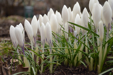 Similar image 21637773