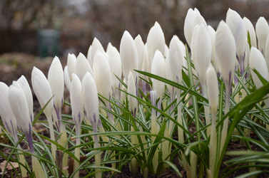 Similar image 21637774