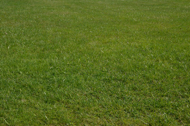 Similar image 21638630