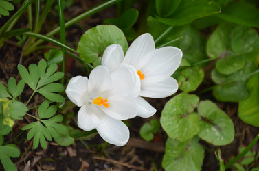 Similar image 21638636