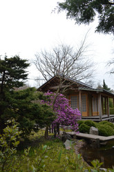 Similar image 21638637