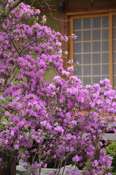 Similar image 21638638