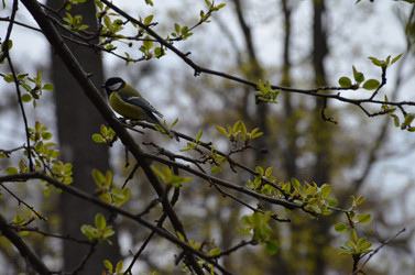 Similar image 21638639