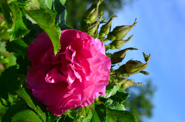 Similar image 21638640