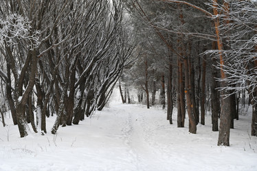 Similar image 21640467