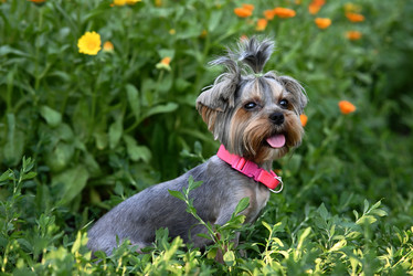 Similar image 21640470