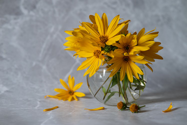 Similar image 21640471