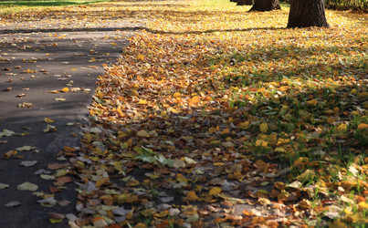 Similar image 21637777