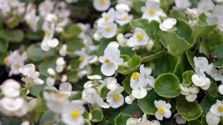 Similar image 21638146