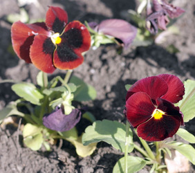 Similar image 21638149