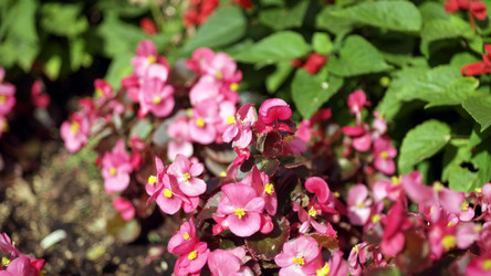 Similar image 21638152