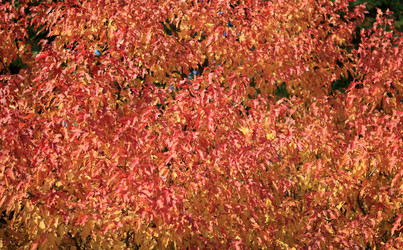 Similar image 21638154