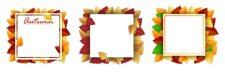 Similar image 21645402