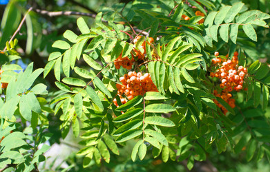 Similar image 21638643