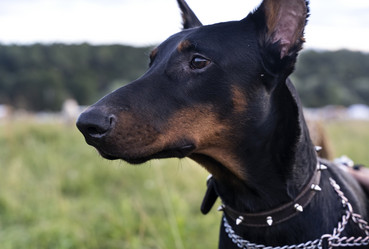 Similar image 21637792