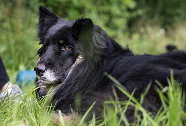 Similar image 21637793