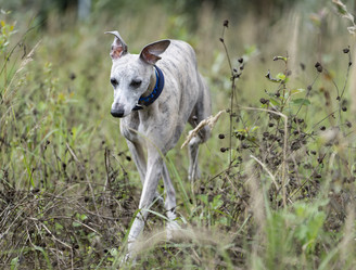 Similar image 21637797