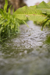 Similar image 21639019